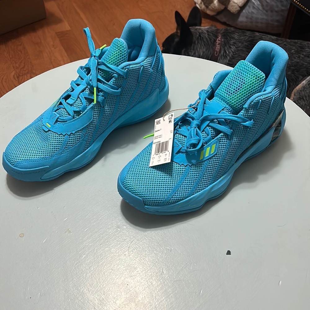 Damien Willard Basketball Shoes